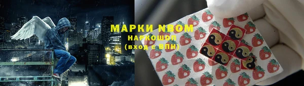 мдпв Абаза