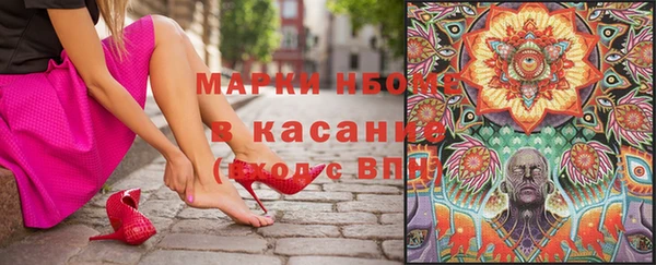 шишки Алзамай