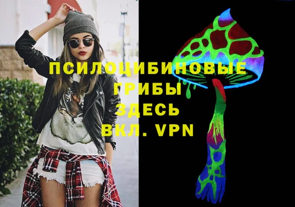 мдпв Абаза