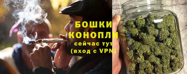шишки Алзамай